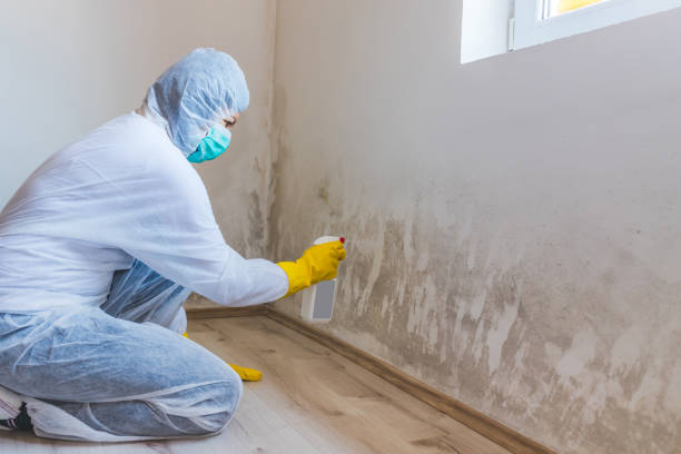 Licensed Mold Remediation service in Manchester, MD - 24 Hour Mold Removal