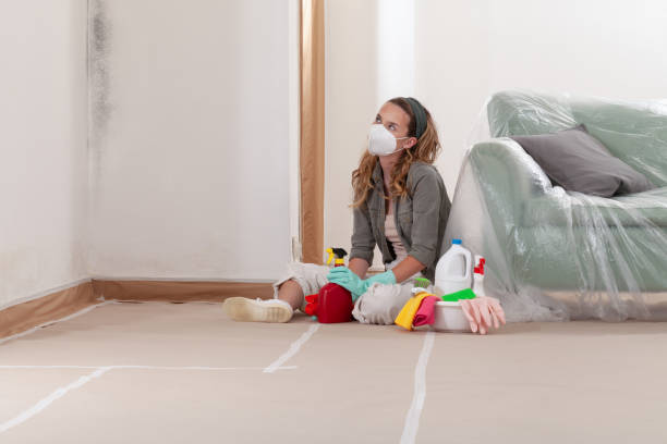Reliable Mold Remediation contractor in Manchester, MD by 24 Hour Mold Removal